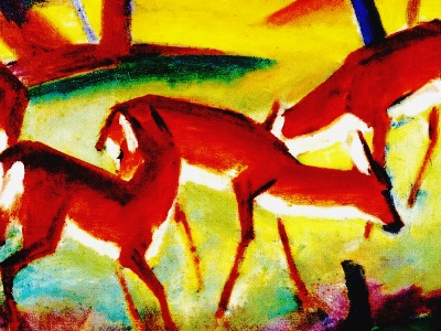 deer in woods